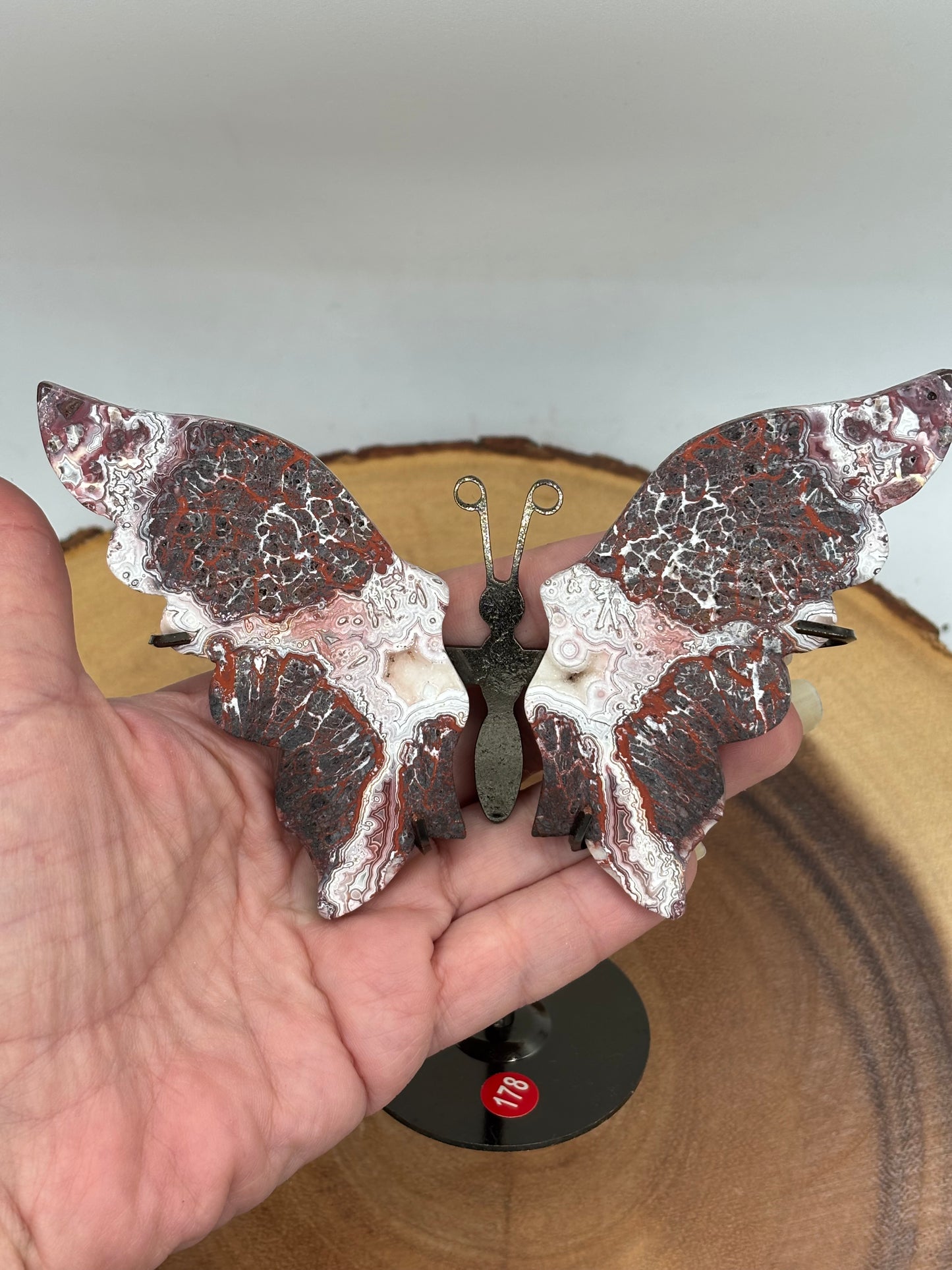 Red Crazy Lace Agate Butterfly Wings