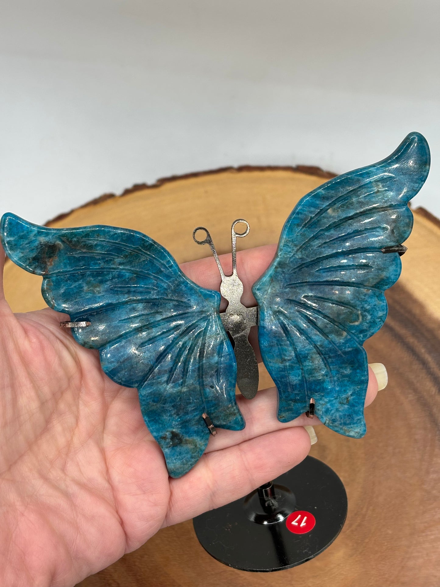 Apatite Butterfly Wings