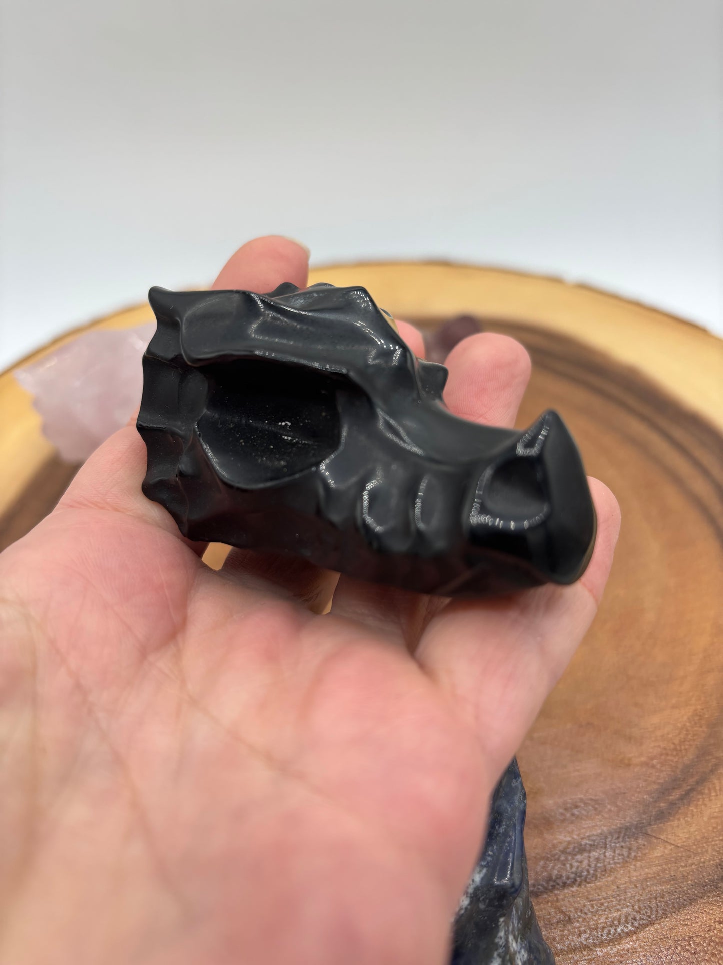Dragon Head