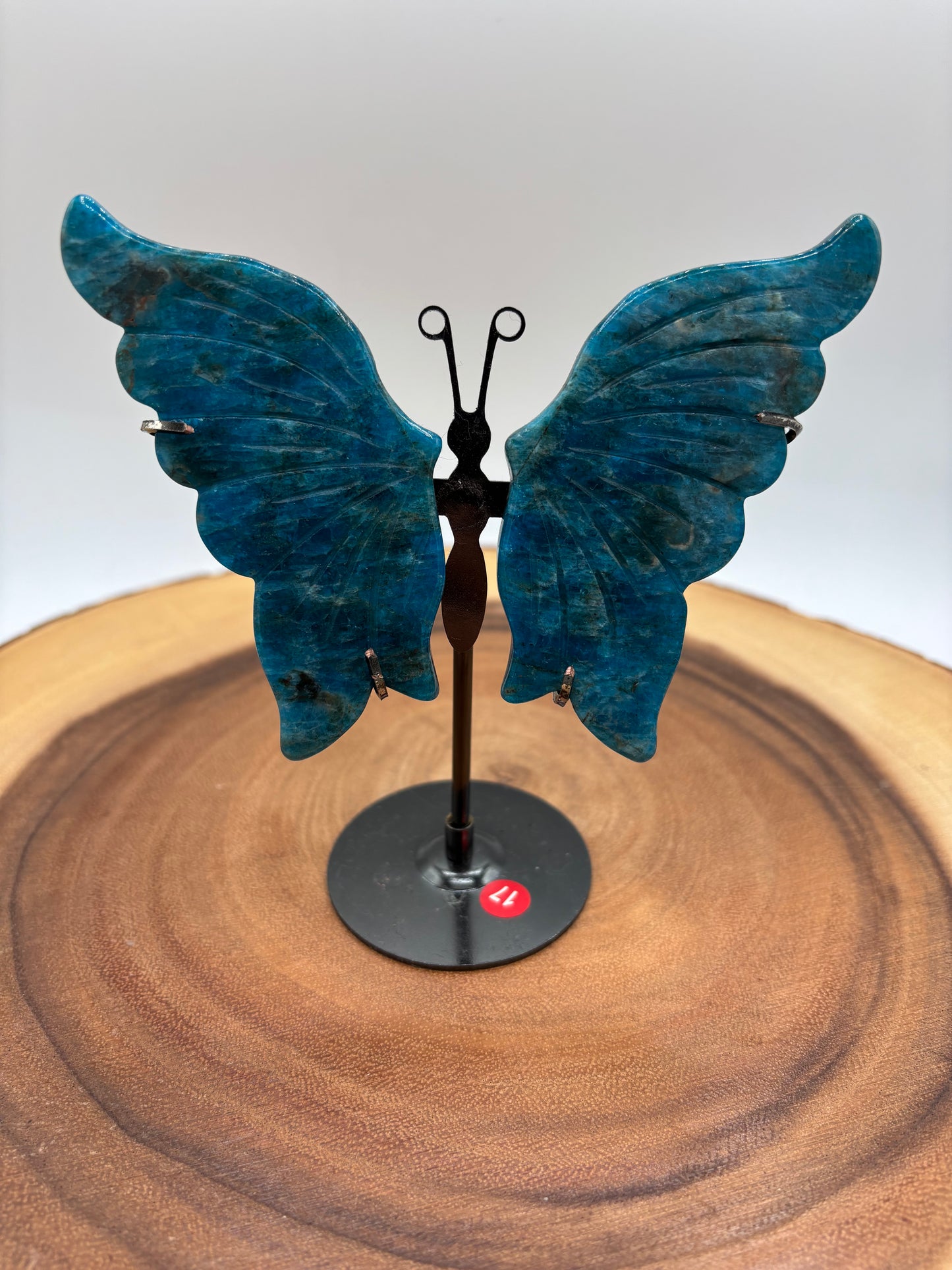 Apatite Butterfly Wings