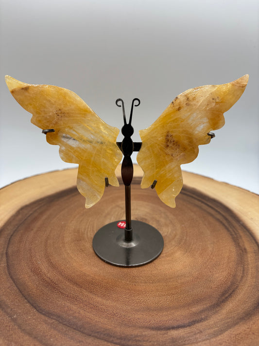 Golden Healer Wings