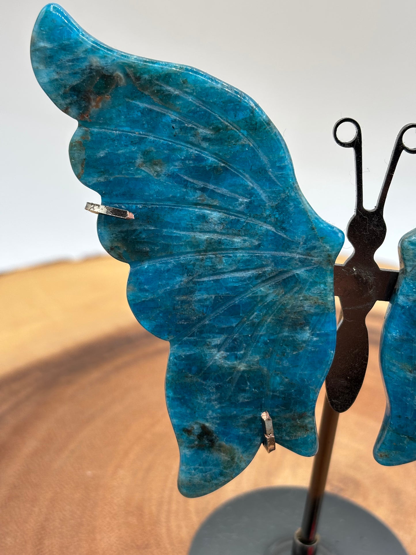 Apatite Butterfly Wings