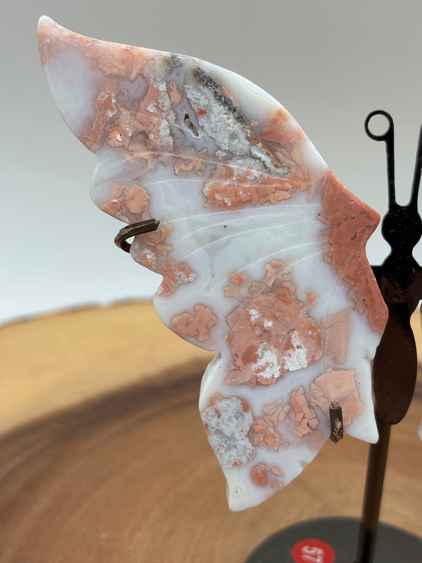 Cotton Candy Agate Wings