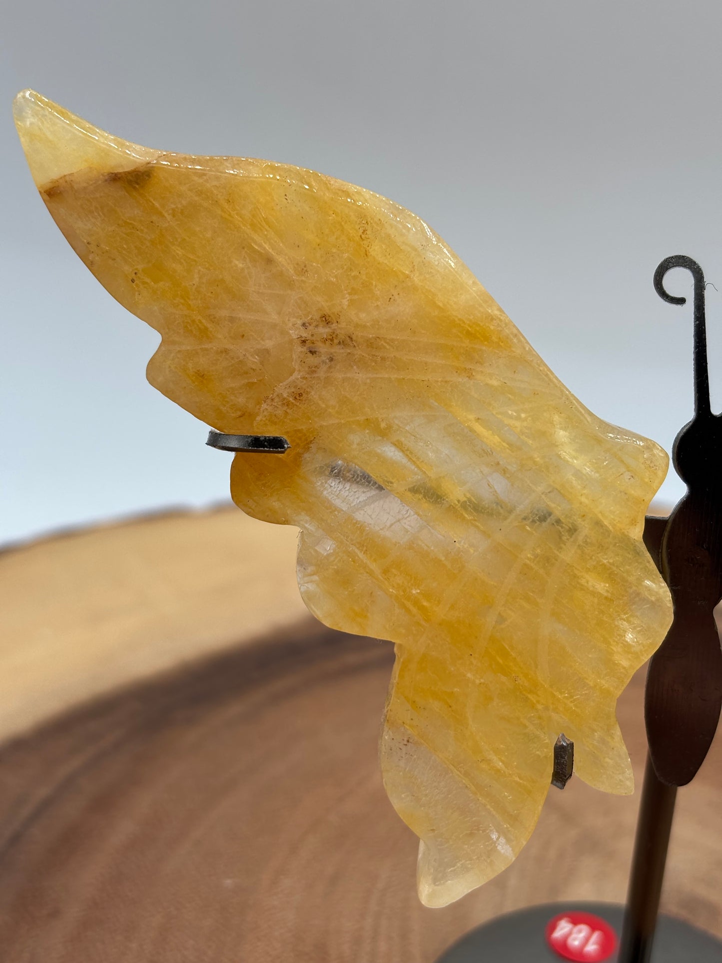Golden Healer Wings